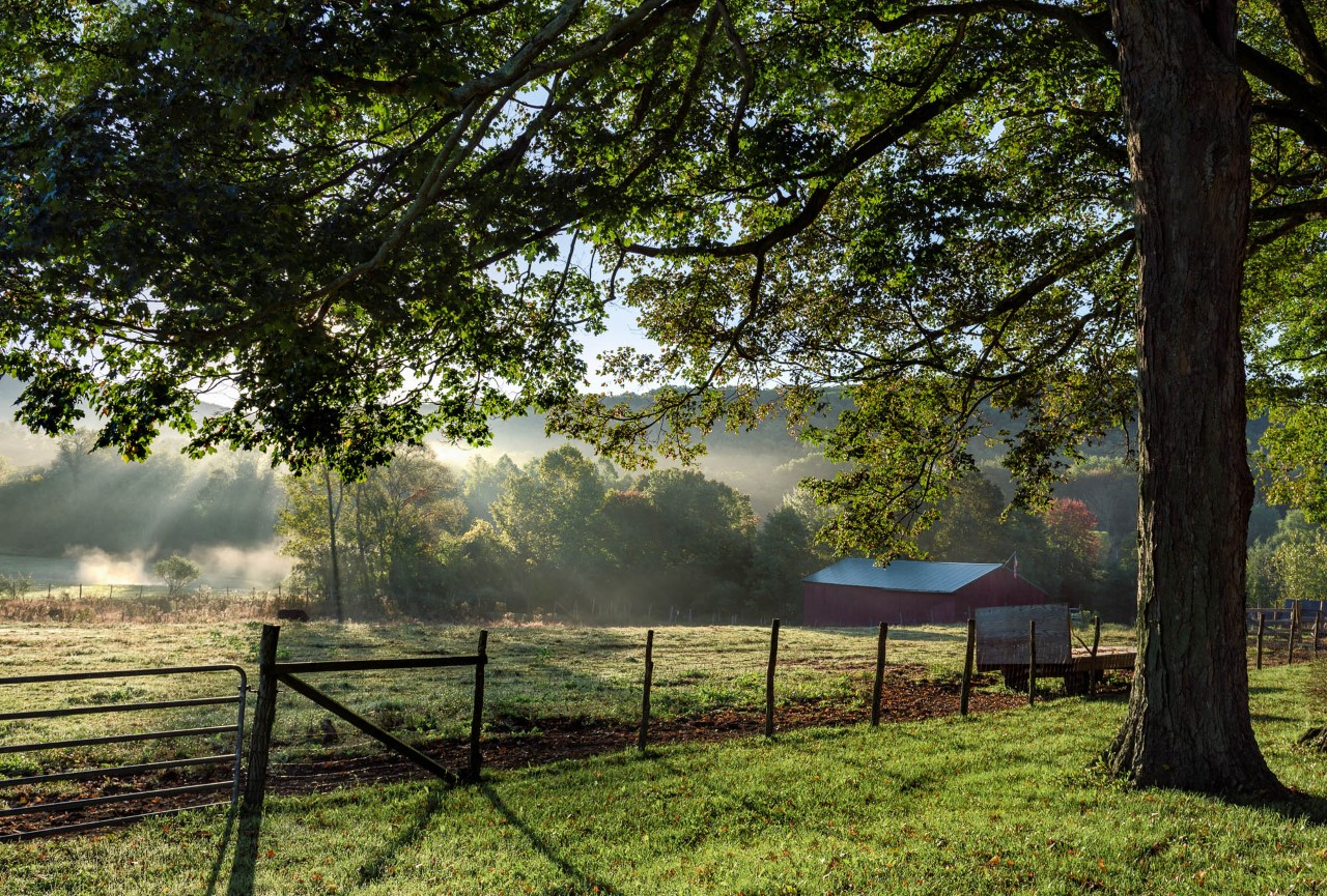 Big Farm in the Morning